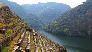 Galicia