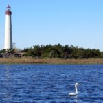 Cape May Lighthouse