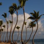 Punta Cana